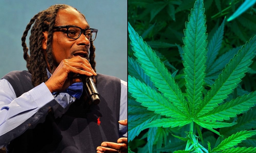 Snoop Dogg Launches Online Cannabis Store Selling Hemp-Derived THCA Products And Smoking Supplies - MEDCAN24