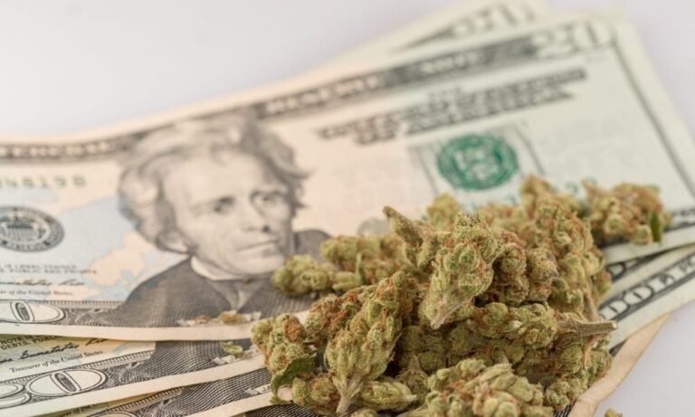 More Than $6 Million In New Jersey Marijuana Tax Revenue, Meant To Promote Equity, Has Been Sitting Unused - MEDCAN24