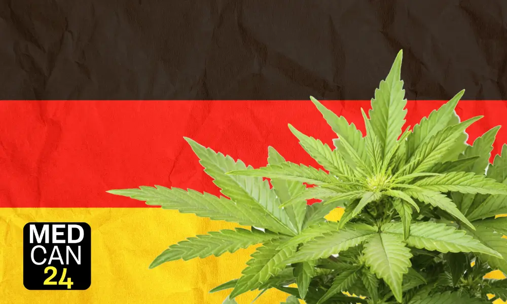 Germany's Cannabis Market Growth, Challenges, and the Impact of Upcoming Elections