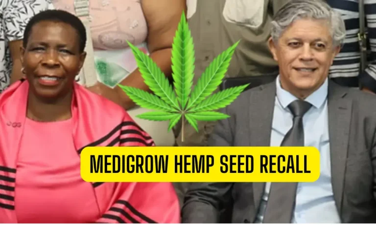 Medigrow Recalls Hemp Seeds in Mpondoland, Blames ECRDA for Miscommunication