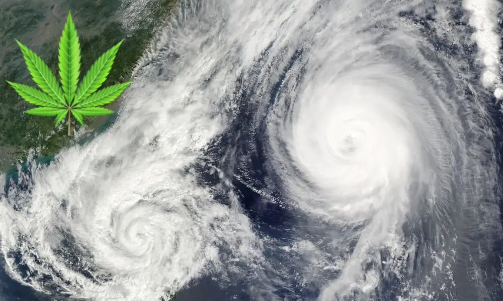 Why Cannabis Businesses Can’t Afford to Ignore Insurance Amid Climate Change