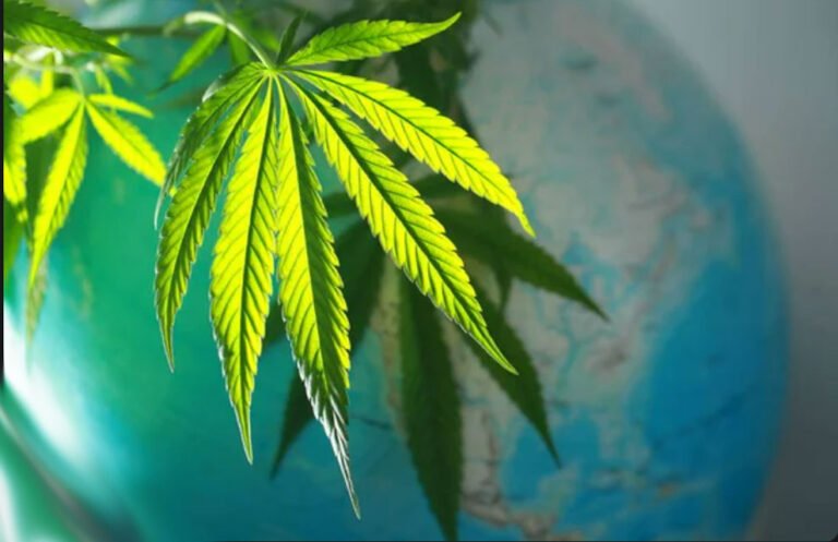 Beyond Germany: Other international markets for cannabis opportunities - MEDCAN24