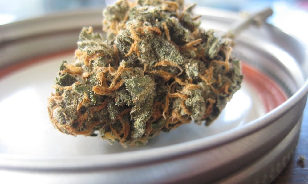 North Dakota Lawmakers Approve Bill To Expand Marijuana Decriminalization, Making Low-Level Possession A $150 Citation - MEDCAN24