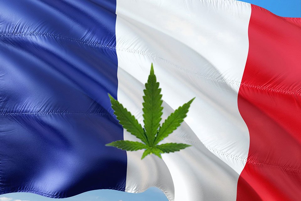 French lawmakers push cannabis legalization plan despite opposition - MEDCAN24 French lawmakers push cannabis legalization plan despite opposition - MEDCAN24
