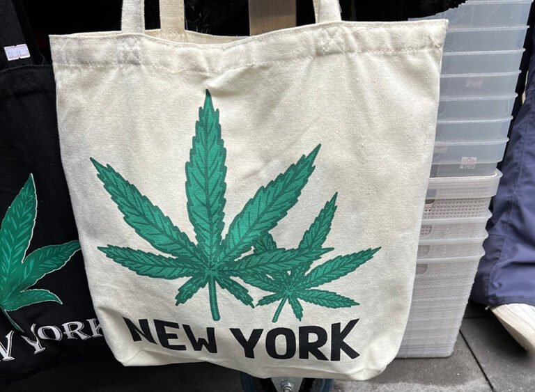 New York approves more cannabis licenses despite injunction, pushes ahead with zoning changes - MEDCAN24