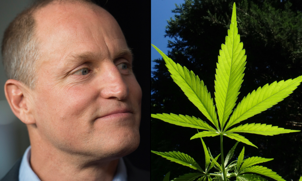 Woody Harrelson Wishes He Could Invite Bob Marley To His Marijuana Dispensary—But Fears The Reggae Legend Would Out-Smoke Him - MEDCAN24