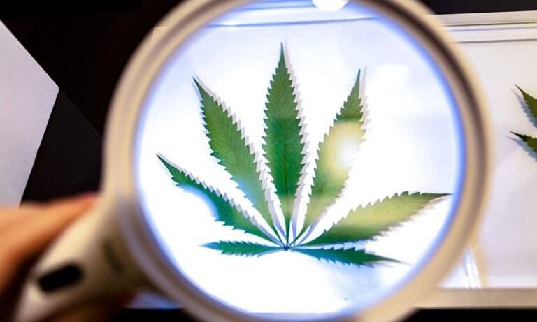 How Smokers Use Certain Strains to Boost Their Focus - MEDCAN24