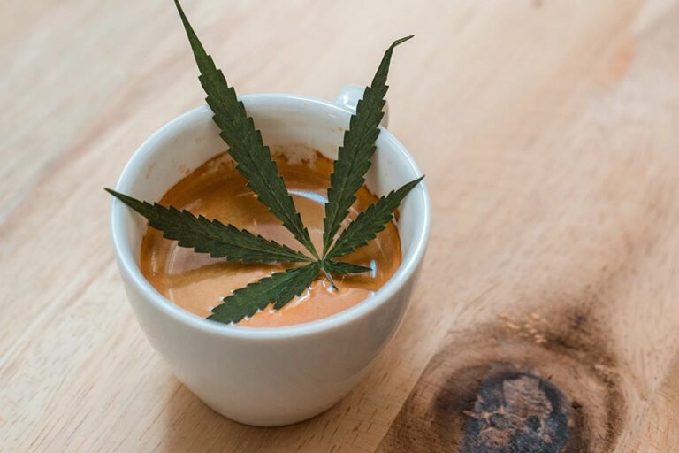 Massachusetts cannabis regulators lay groundwork for social consumption - MEDCAN24