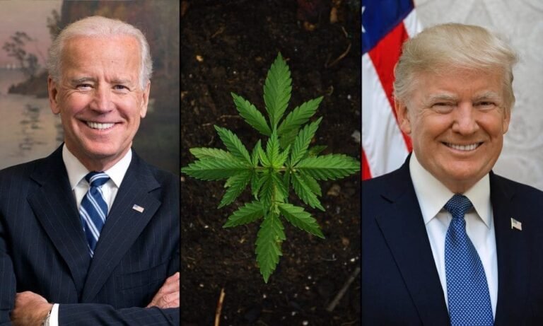 Marijuana Industry PAC Attacks Biden And Canada In New Ads Designed To Appeal To Trump - MEDCAN24