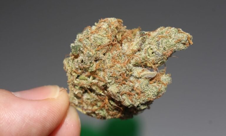 New Hampshire Lawmakers Move Forward With Plan To Legalize Simple Possession Of Marijuana - MEDCAN24