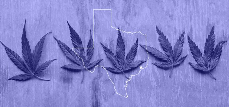 Hemp Supporters Crowd Texas State Capitol to Protest Proposed THC Ban - MEDCAN24