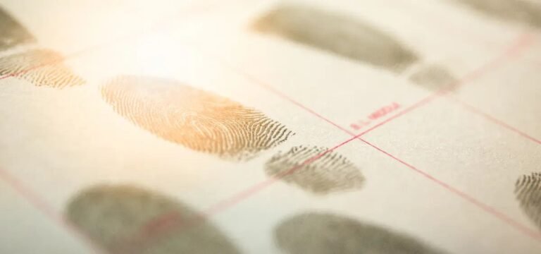 Maryland to Automatically Shield Criminal Records Associated with Low-Level Cannabis Convictions - MEDCAN24
