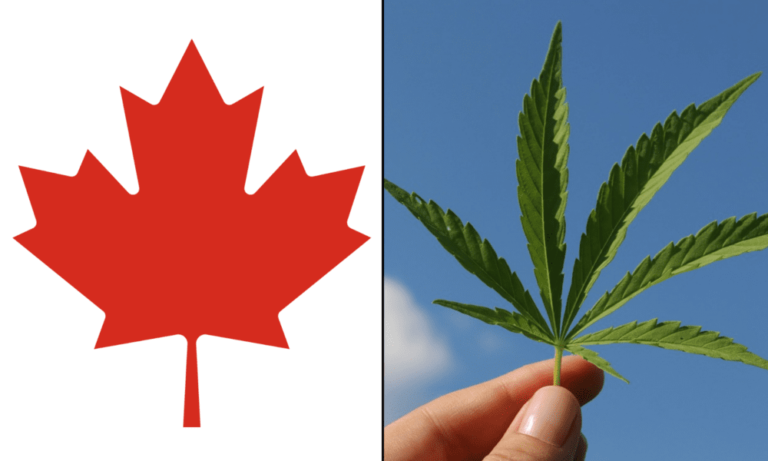 Most Canadians Say Marijuana Is An Important Part Of The Economy And Want Government To Help The Industry, Poll Shows - MEDCAN24