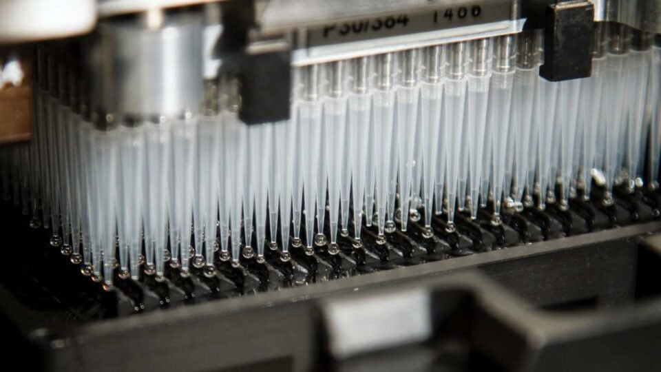 Report: California regulators suspend cannabis lab’s business license for questionable test results - MEDCAN24