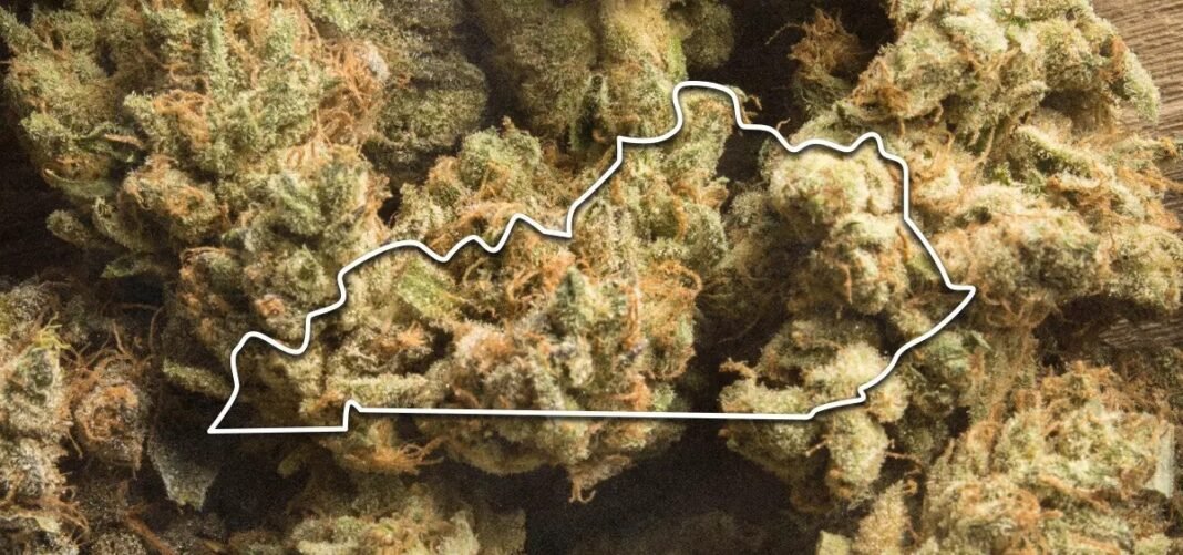 Kentucky Auditor Investigating the State’s Medical Cannabis Program - MEDCAN24