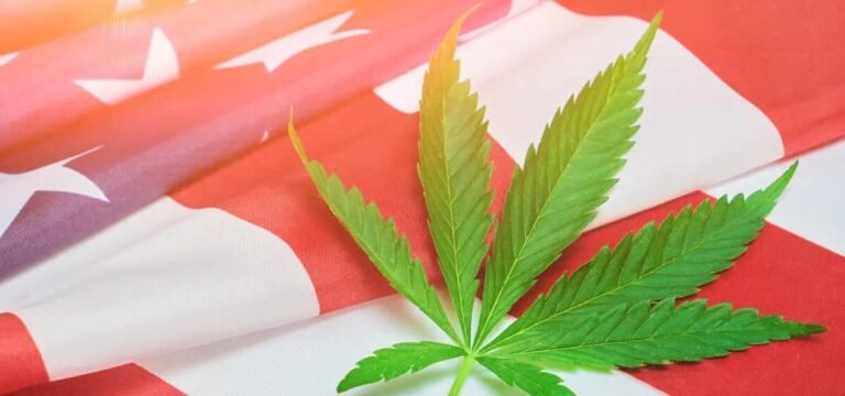 Bipartisan Proposal Would Federally Legalize Cannabis In Adult-Use States - MEDCAN24