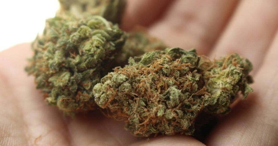 Tennessee Lawmakers Closes Hemp THCA Loophole