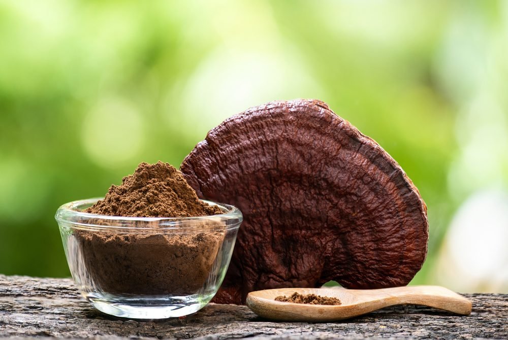 The rise of Reishi in Ireland: A natural health trend women are embracing - MEDCAN24