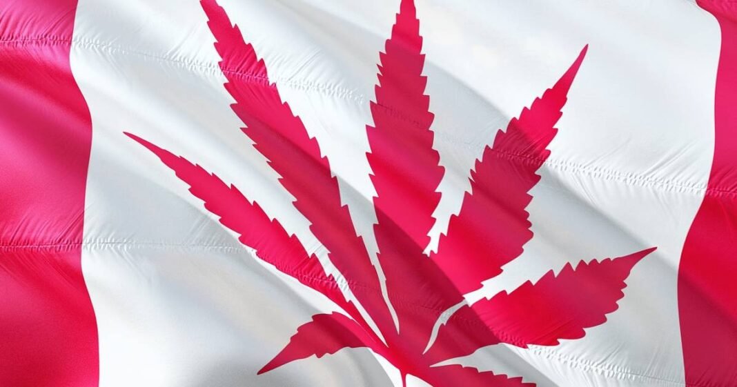 Study: Cannabis Use/Misuse In Canada 