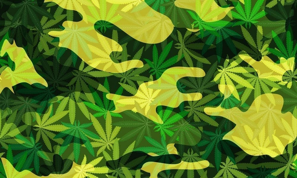 Florida Bill To Make Medical Marijuana Cards Free For Military Veterans Passes House Unanimously - MEDCAN24