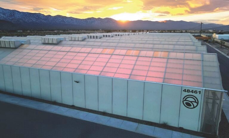 Coachella’s Next Big Thing Is Here - MEDCAN24