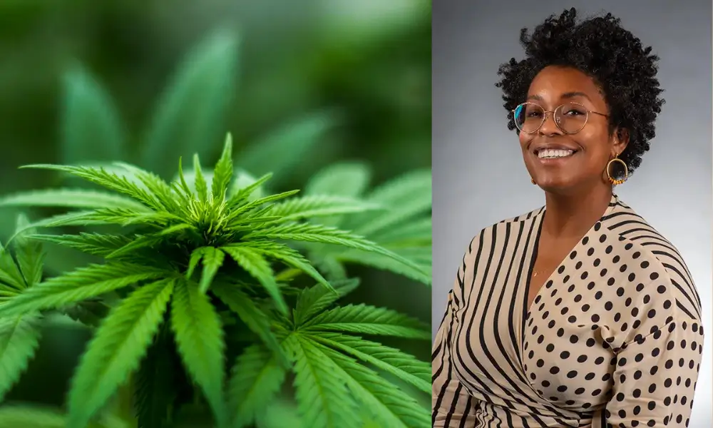 How New York’s Cannabis Industry Is Set to Reach $1.5 Billion in Sales by 2025