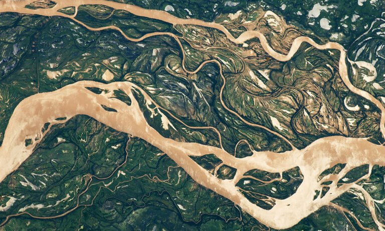 5 Ways Cannabis Can Save the Planet This Earth Day - MEDCAN24