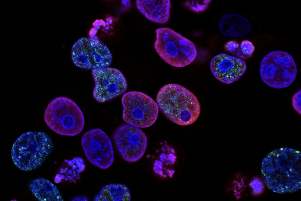 Vivos Inc Has Reported Positive Results With Its First Ever Human Trial - MEDCAN24