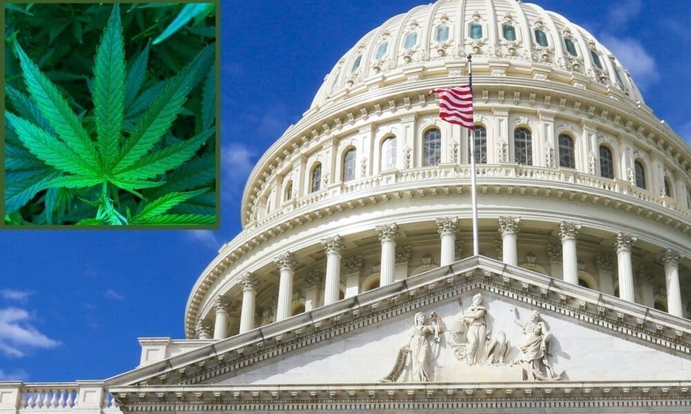 Bipartisan Congressional Lawmakers File Bill To End Federal Marijuana Prohibition In Legal States In Line With Trump’s Stance - MEDCAN24