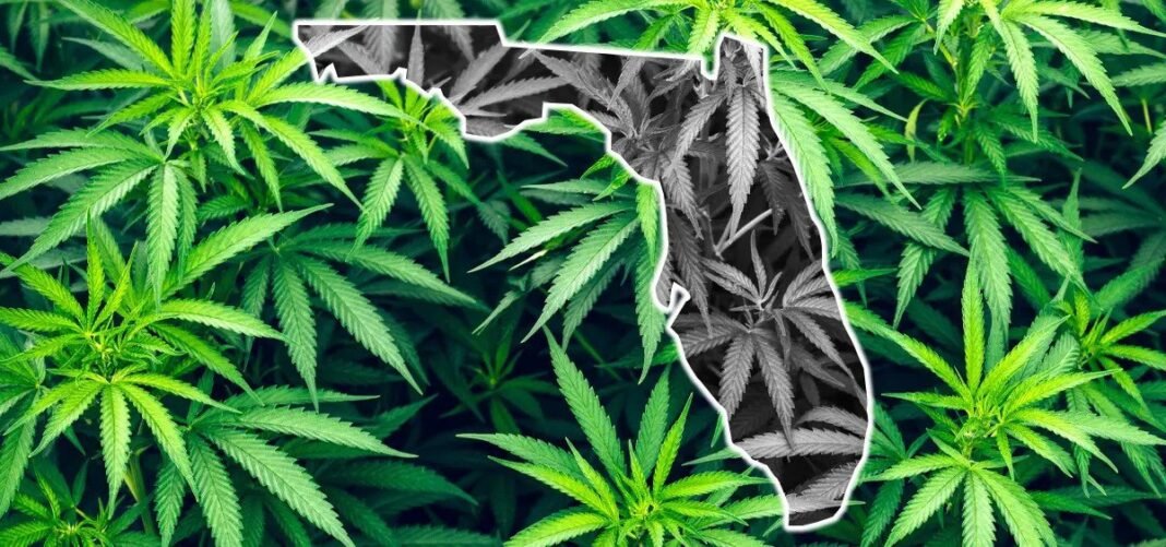 Florida Senate Votes Unanimously to Restrict Hemp-Derived THC - MEDCAN24