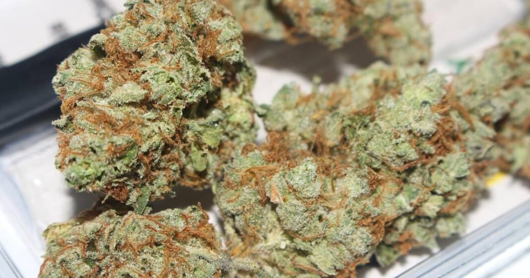 Support Swells For Full Marijuana Legalization In Pennsylvania