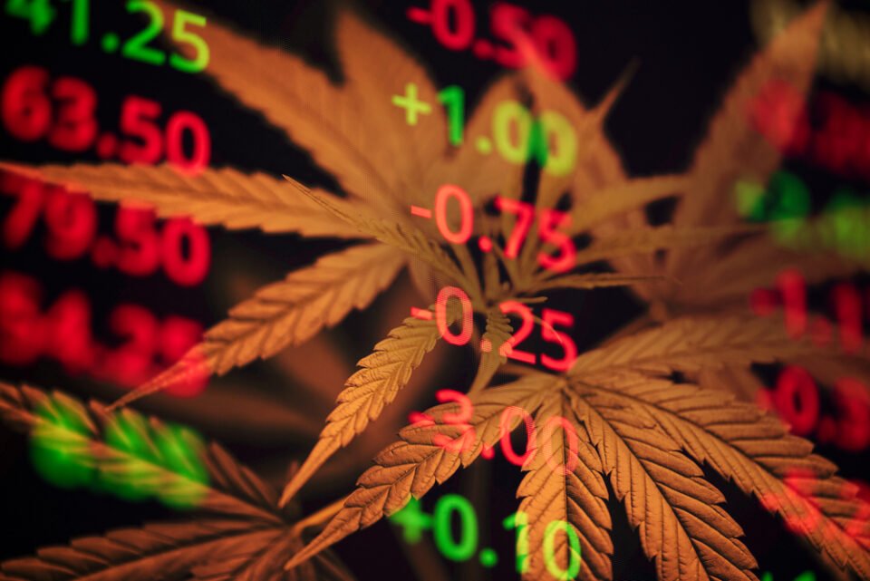 Tilray proposes reverse split to drive share price higher - MEDCAN24