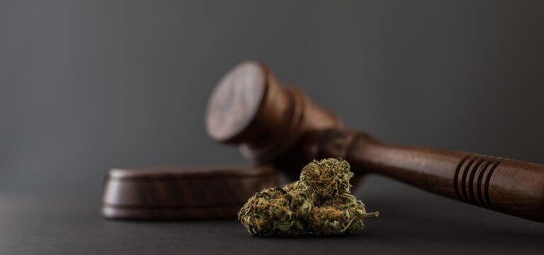 Alabama Parents Sue Medical Cannabis Commission Over Failure to Implement Program On Time