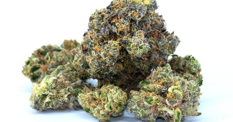 Survey: Cannabis Attitudes In Texas