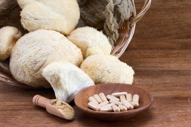 Lion’s mane in Ireland: The growing role of nature’s brain-boosting mushroom