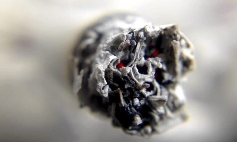 How Do The U.S. And Canadian Markets For Pre-Roll Marijuana Products Differ? (Op-Ed)