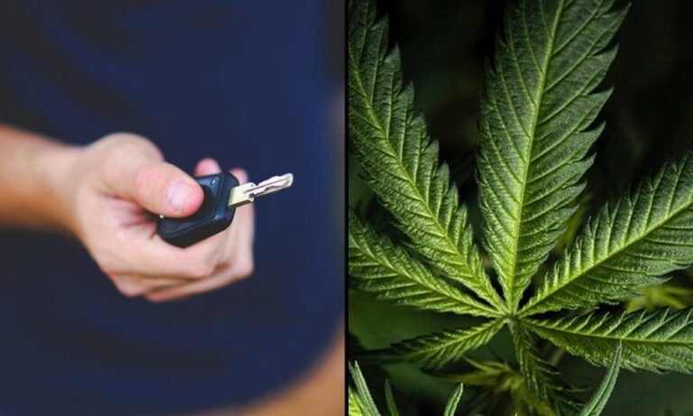 Federal Agency Reschedules Marijuana Breathalyzer Technology Workshop Aimed At Fostering ‘Open And Candid Discussion’