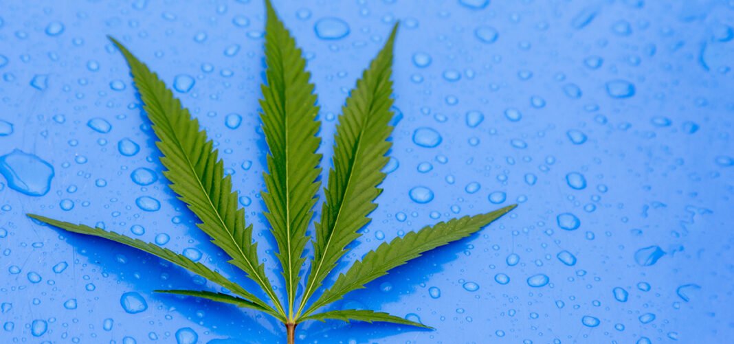 Bill to Legalize Adult-Use Cannabis Filed in Pennsylvania - MEDCAN24