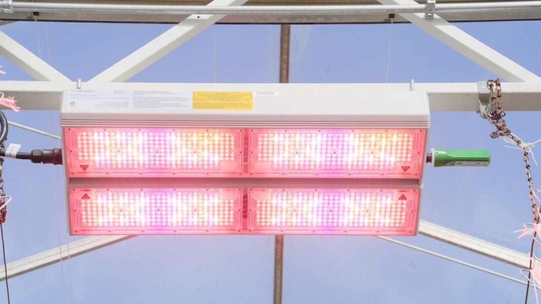 Dynamic LED Lighting: What Commercial Growers Should Know