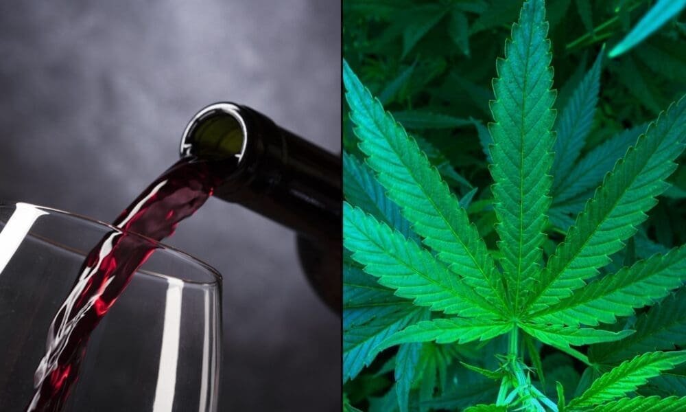 Using Marijuana Reduces Alcohol Cravings In People Who Drink A Lot, Federally Funded Study Shows - MEDCAN24