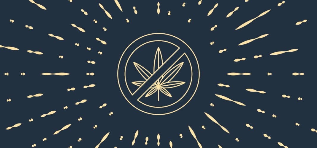 Republican Lawmakers Kill Cannabis Legalization Provisions in Wisconsin Gov’s Budget Proposal - MEDCAN24