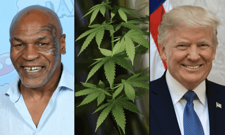 Mike Tyson Promotes His Marijuana Brand During DEA Lab Visit Following Meetup With Trump