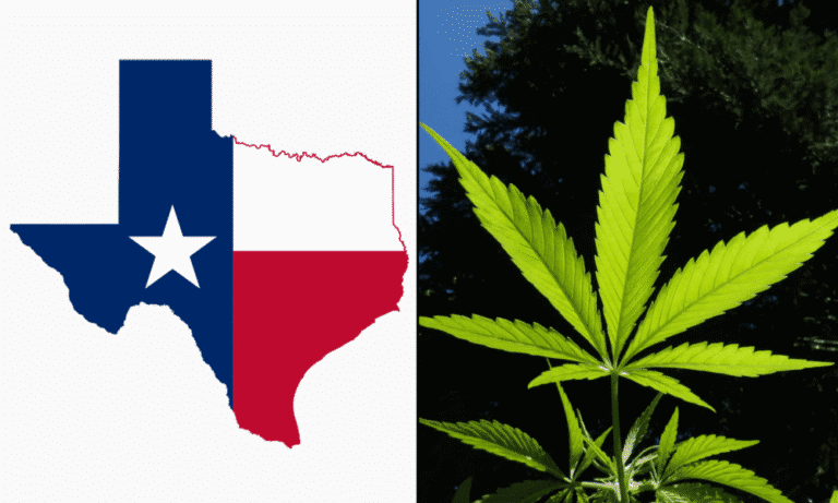 Texas Governor Vetoes Bill To Ban Hemp Products With Any THC Following Forceful Pushback From Industry, Veterans And More