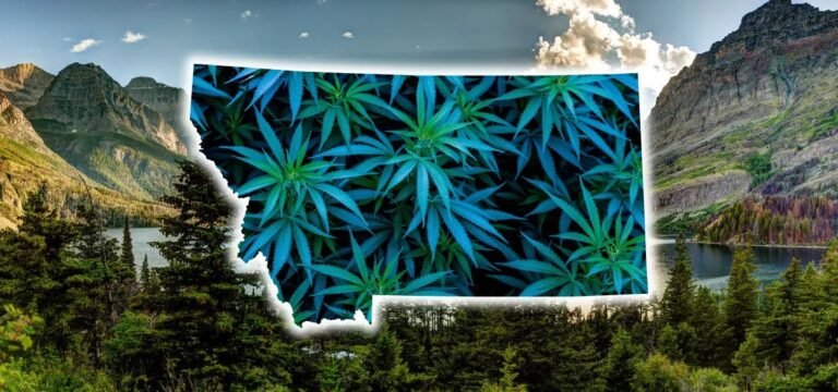 Montana Gov. Vetoes Bill on Tribal Cannabis Agreements - MEDCAN24