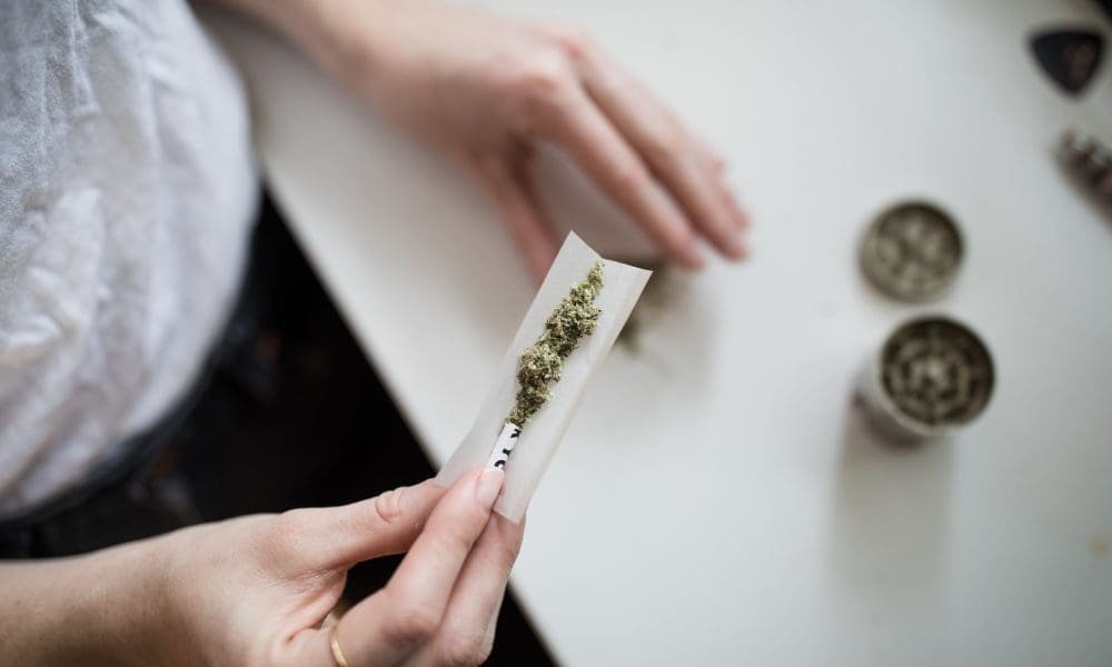 Oregon Campaign To Legalize Cannabis Social Lounges Prepares To Submit First Signatures On Way To 2026 Ballot