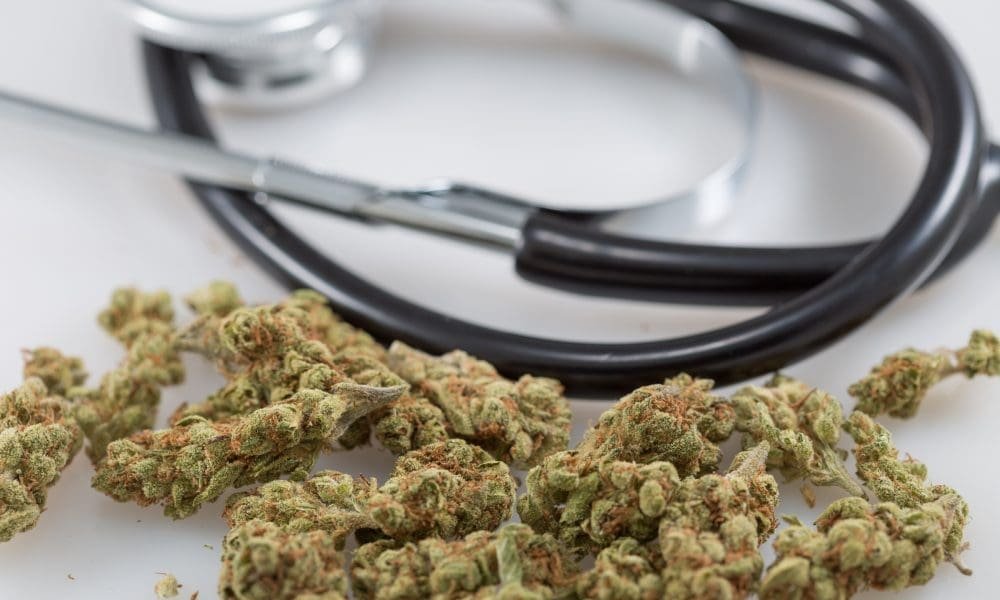 Doctors Group Launches Campaign Empowering More Healthcare Professionals To Join Drug Decriminalization Movement