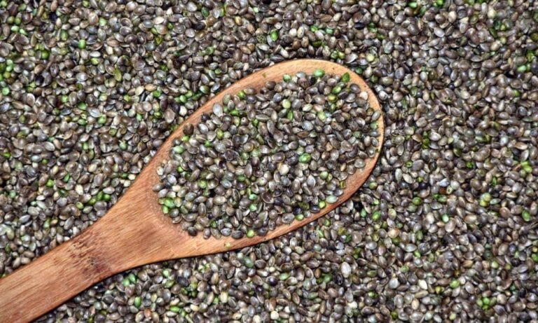 Cannabis Seeds Launched To Orbit By SpaceX Crash Into Sea, Setting Back Mission To Grow Marijuana On Mars - MEDCAN24
