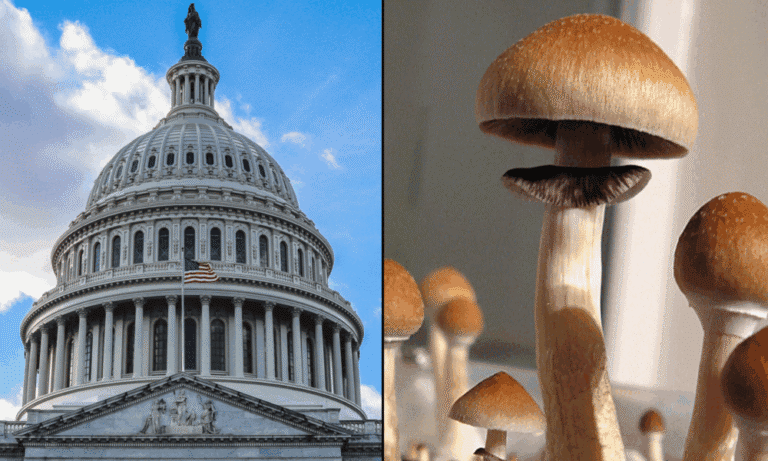 GOP Congressman ‘Excited’ To Advance Psychedelics Reform With ‘Friendlier’ Trump Administration Officials