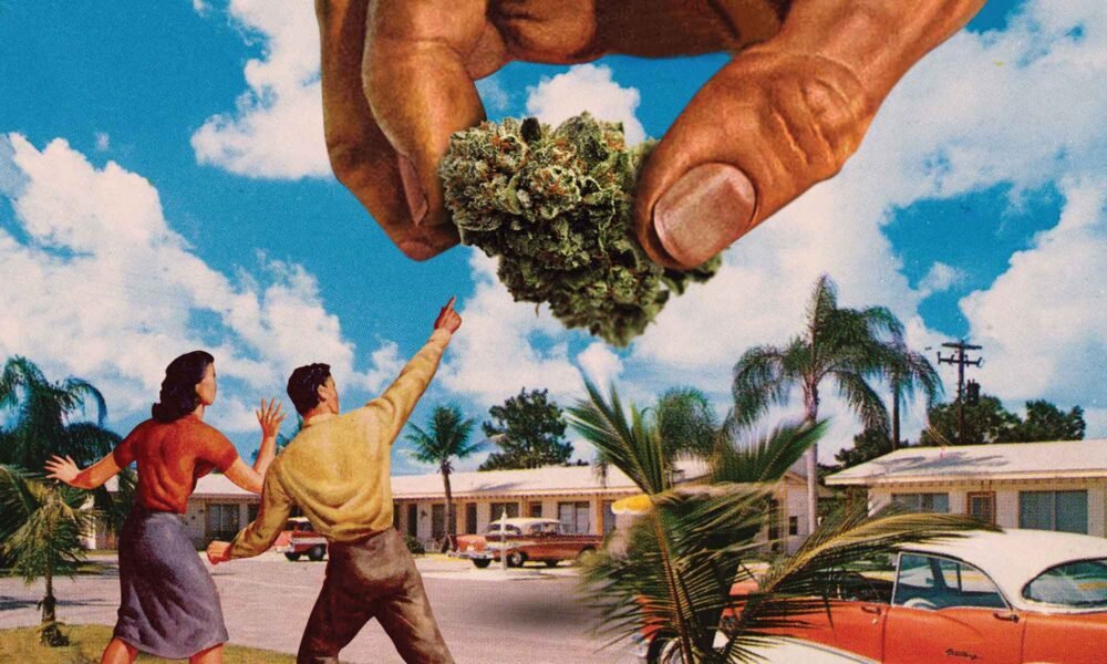 BambashkART: Don’t Bogart This Art - MEDCAN24
