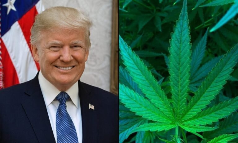 Former NFL Star Talks Marijuana Rescheduling With Top Trump Administration Officials At White House Meeting